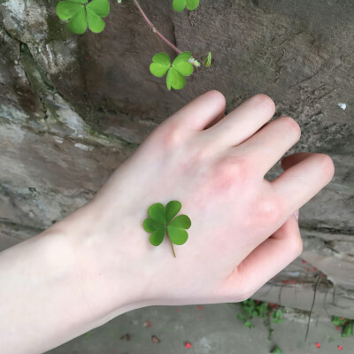 绿色系背景图