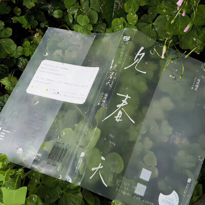 绿色系背景图