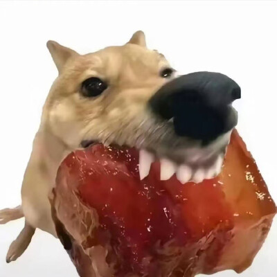 抽象