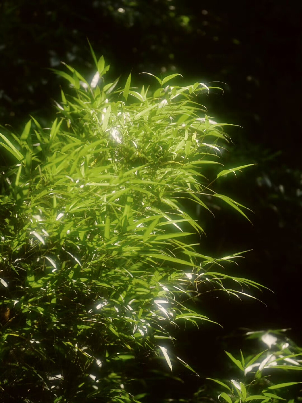 朋友圈背景图｜搬运网络 侵删