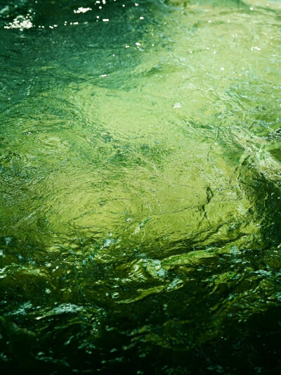 朋友圈背景图｜搬运网络 侵删