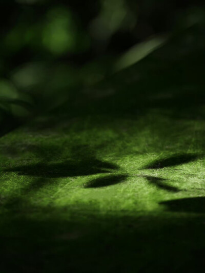 朋友圈背景图｜搬运网络 侵删