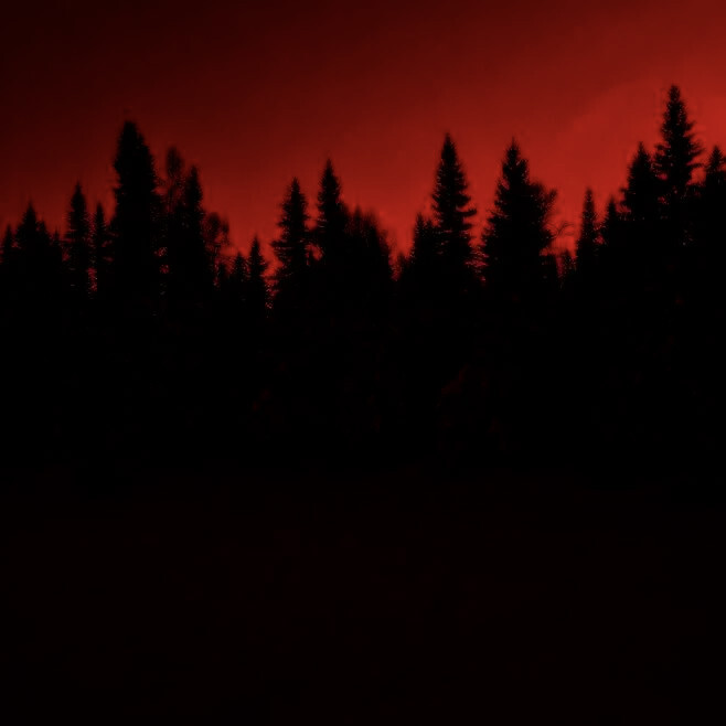 开头就像是打开了古老的收音机，里面是尘封于过去的回忆，存在于懵懂青涩时期的白月光和藏在心底的爱意