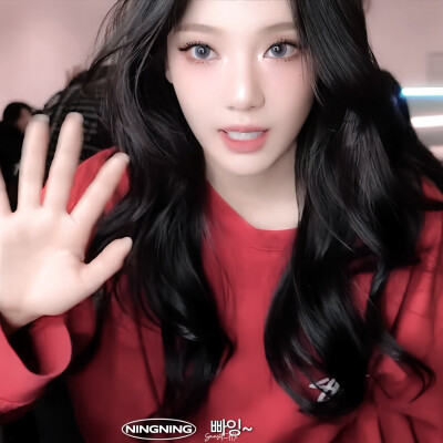 红色 夏天 玫瑰 小猫咪