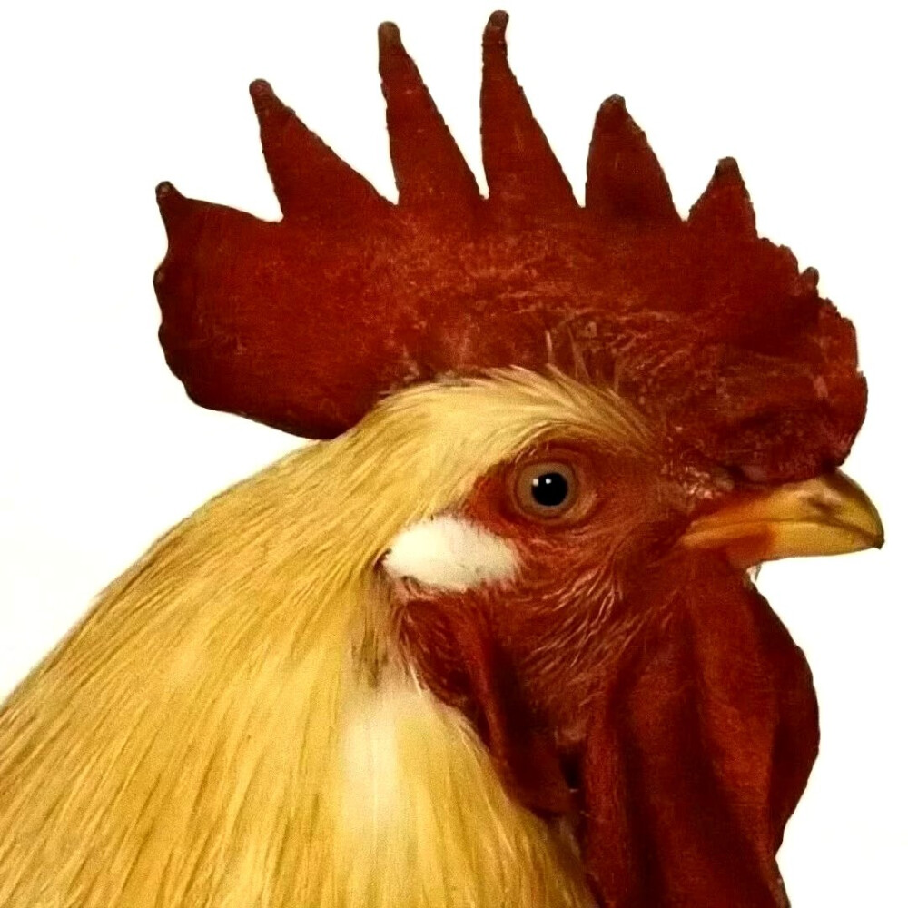 抽象