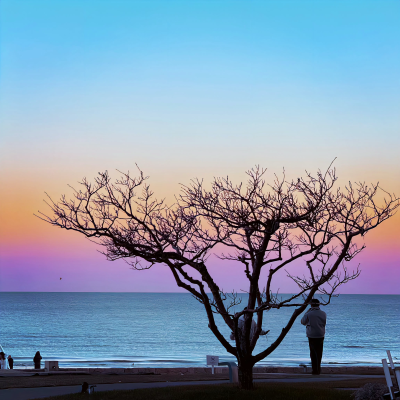 朋友圈背景图｜搬运网络 侵删