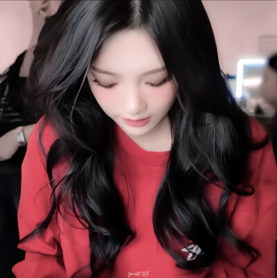 红色 夏天 玫瑰 小猫咪