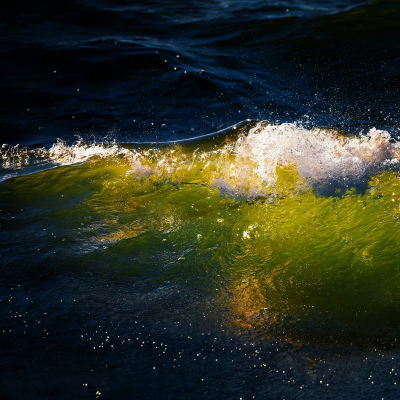 朋友圈背景图｜搬运网络 侵删