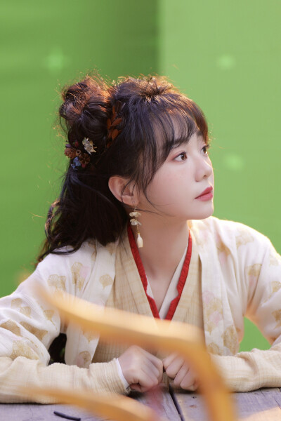 落花时节又逢君 红凝