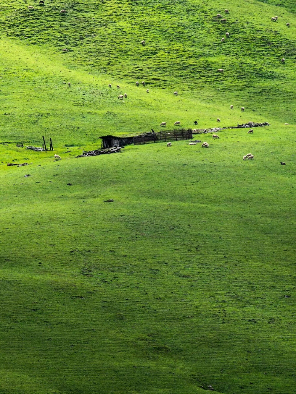 朋友圈背景图｜搬运网络 侵删
