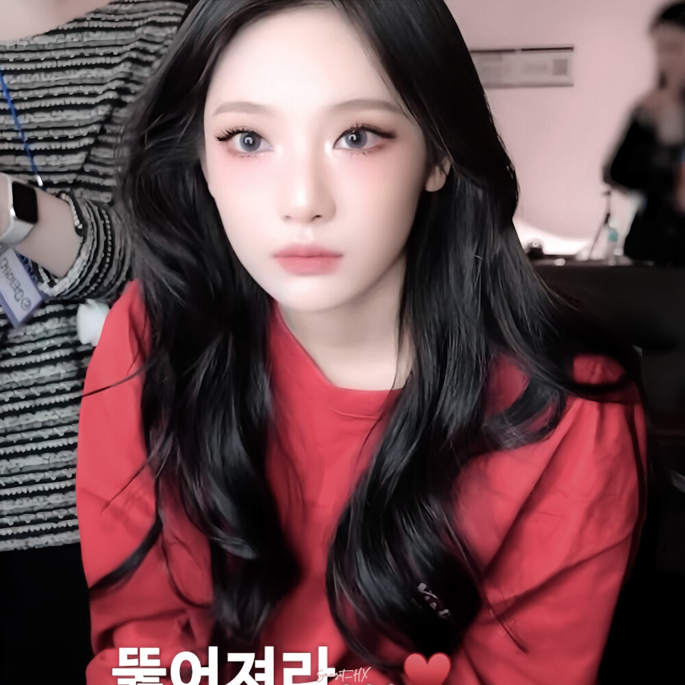 红色 夏天 玫瑰 小猫咪