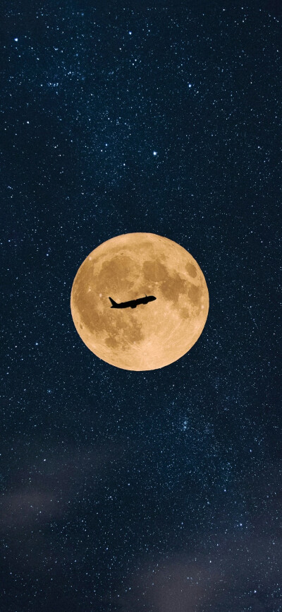 场景