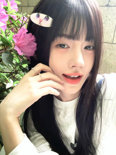 鞠婧祎
