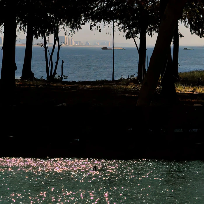 你的心里也是大雪天吗