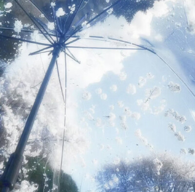 •̩͙ ₊ ᨦ風は穏やかでしたᨩ ໋₊ • ​
