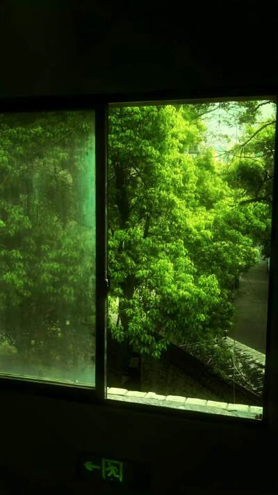 绿色 夏日 壁纸 锁屏 聊天背景 