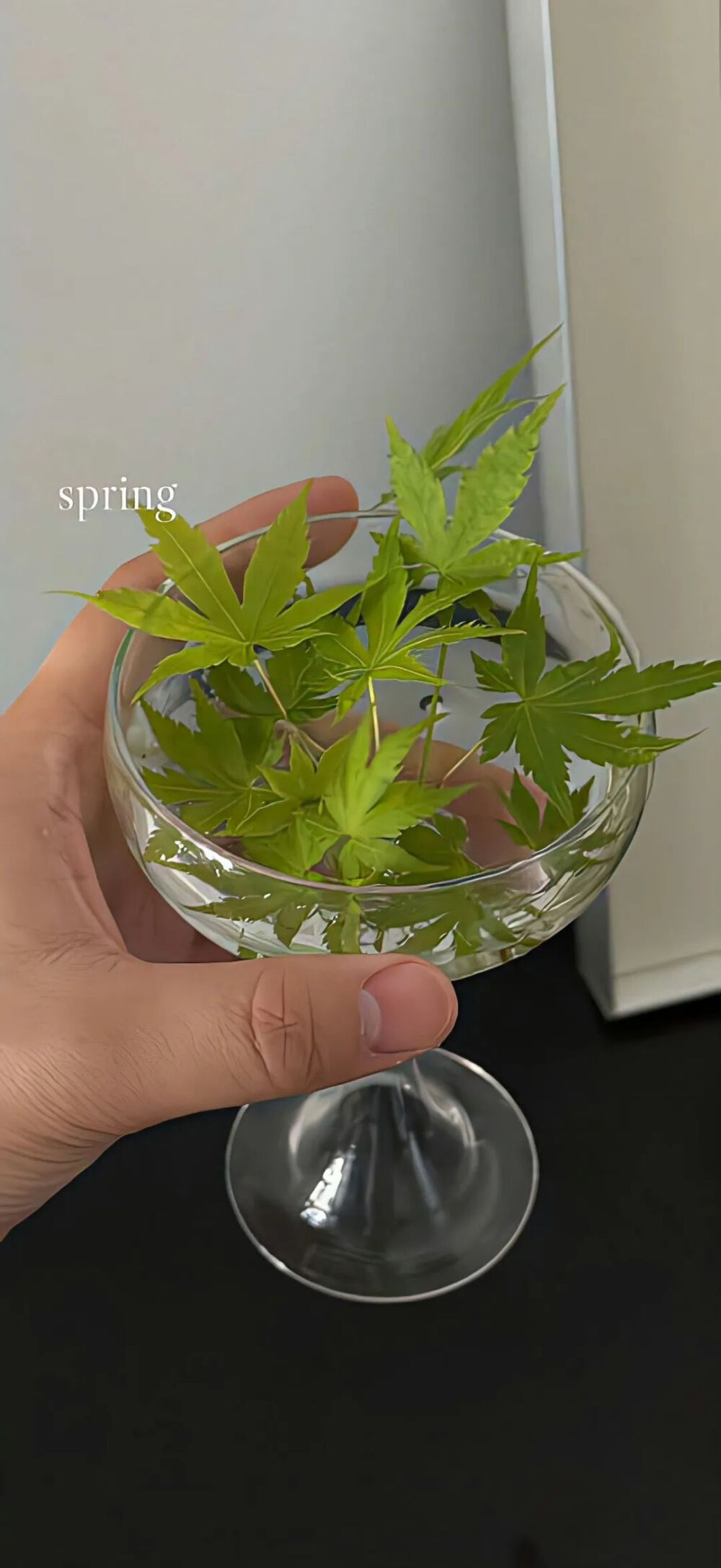 侵删