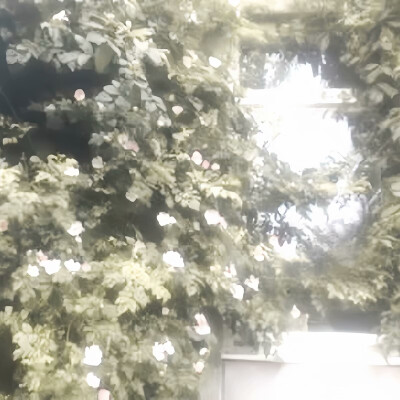  ☆.ᐟ