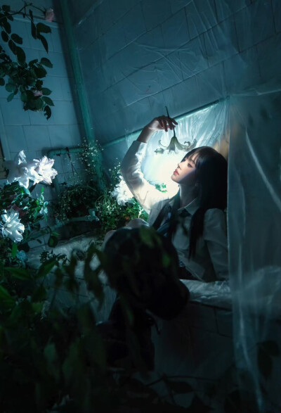 鞠婧祎
