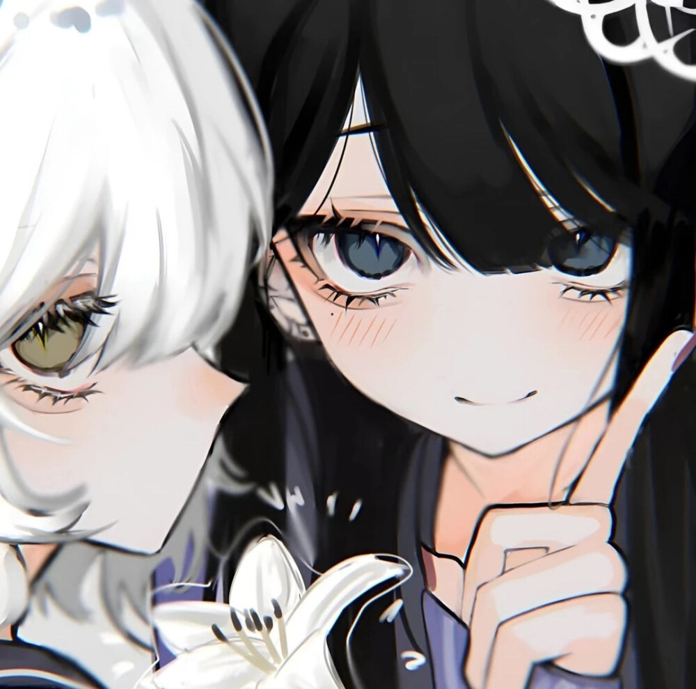 双女主|图源网络| 侵权删
找图不易｜喜欢请收藏点赞｜二传请注明