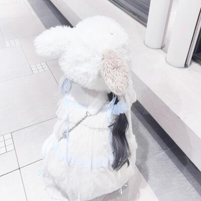 笙笙