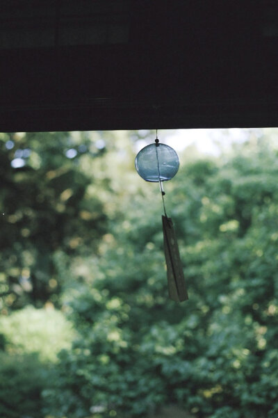 绿色 夏日 壁纸 锁屏 聊天背景 