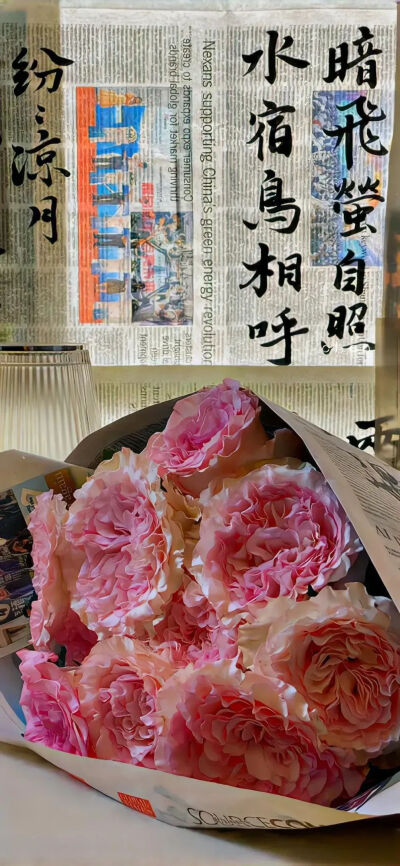 侵删