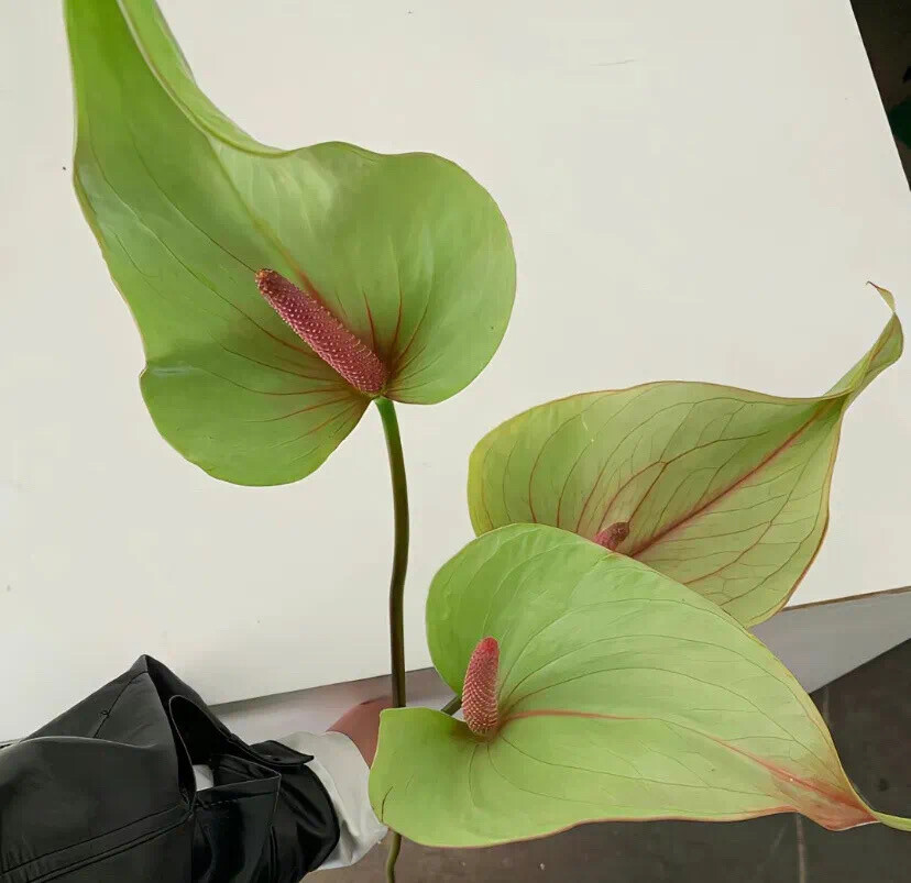 ‎#ليس قوة خارقة