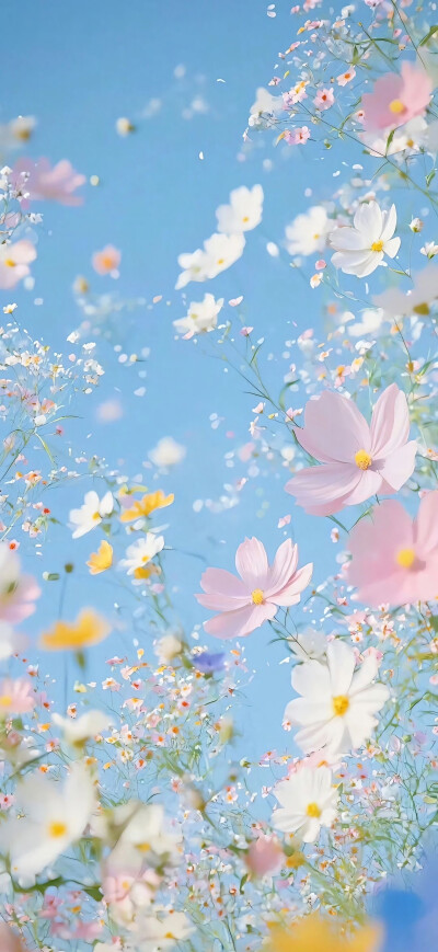 花儿