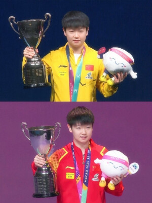 小太阳鲨鱼日记