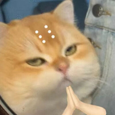 猫猫表情包