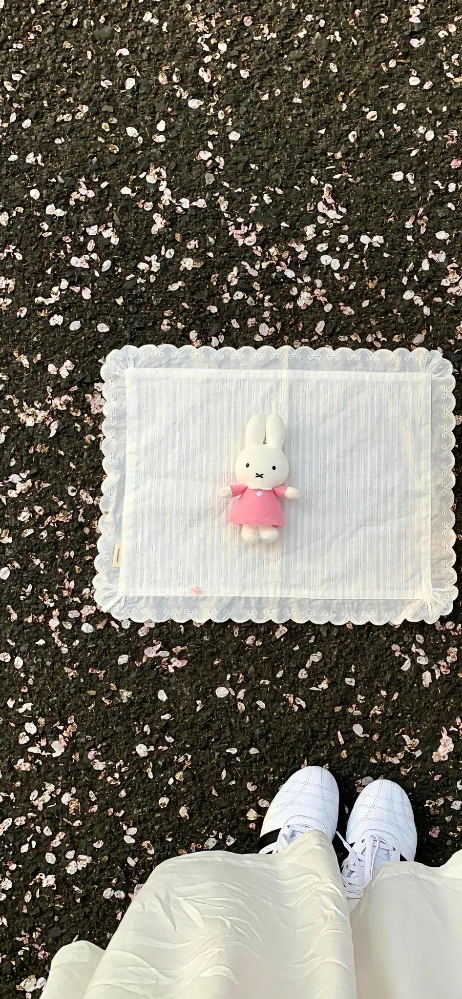 侵删