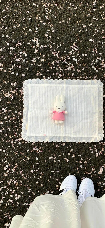 侵删