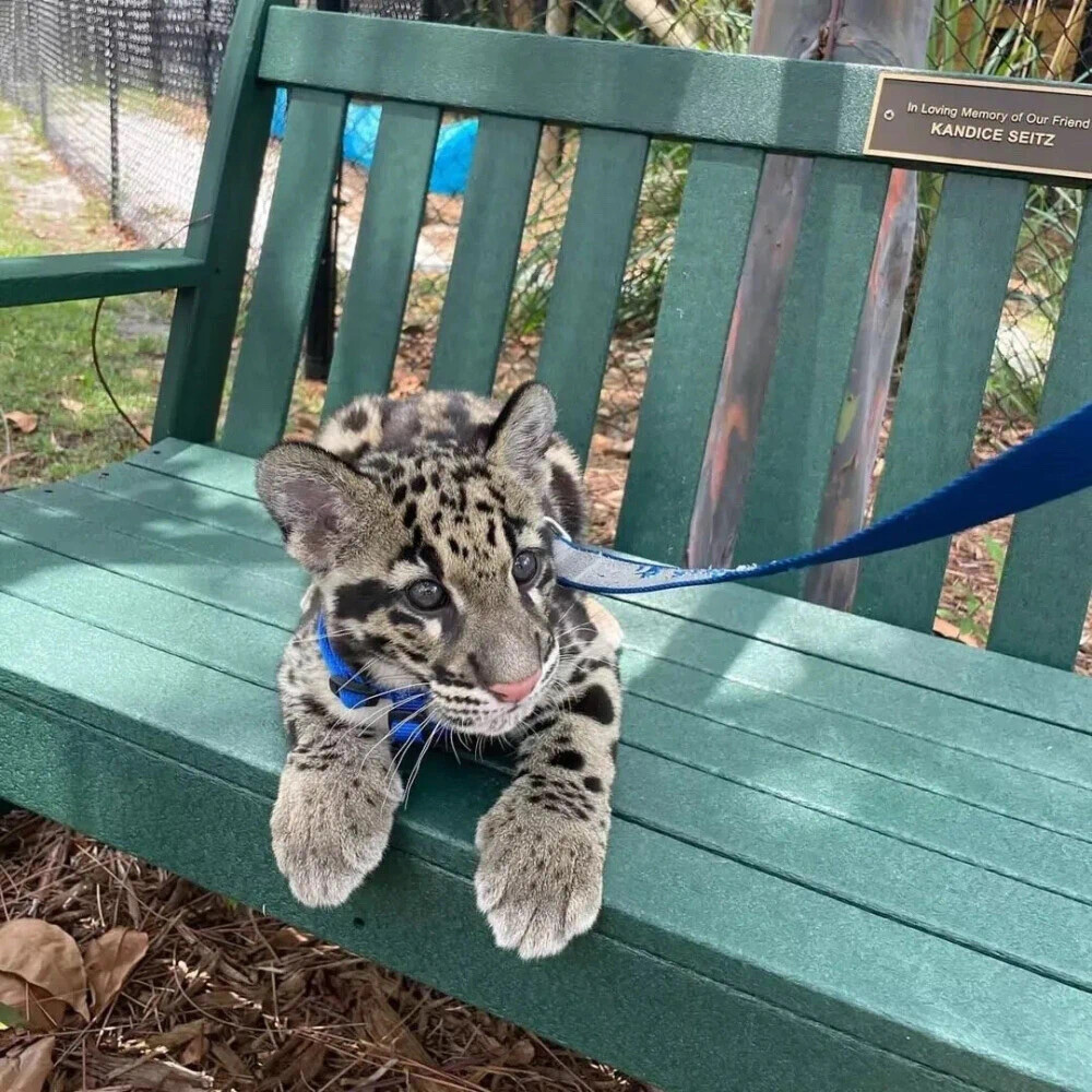 ‎#ليس قوة خارقة