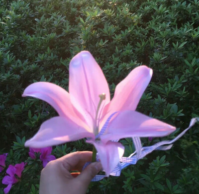 ‎#ليس قوة خارقة