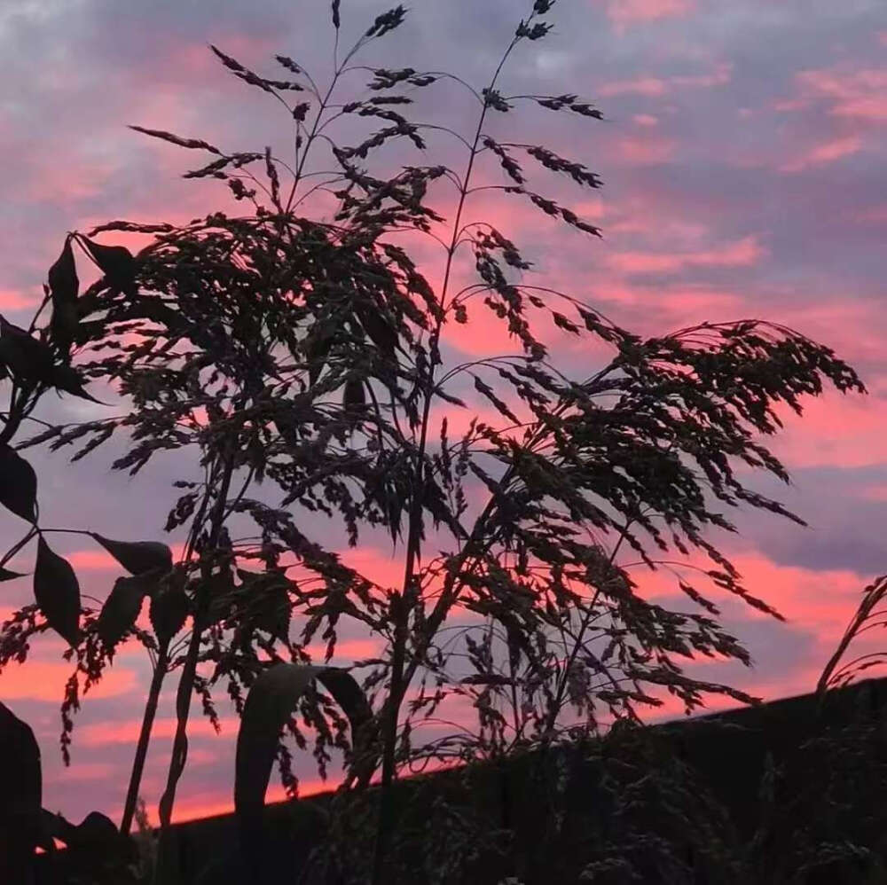 侵删