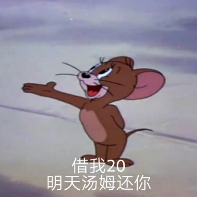 沙雕表情包