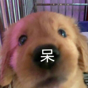 表情包
