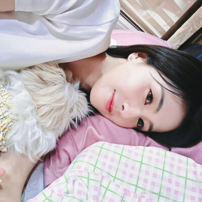 白鹿