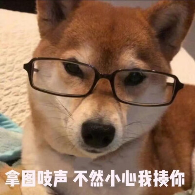 沙雕表情包