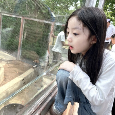 dt林宇婧