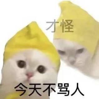 表情包