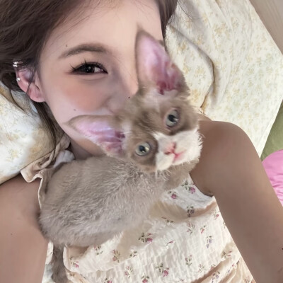 dt林宇婧