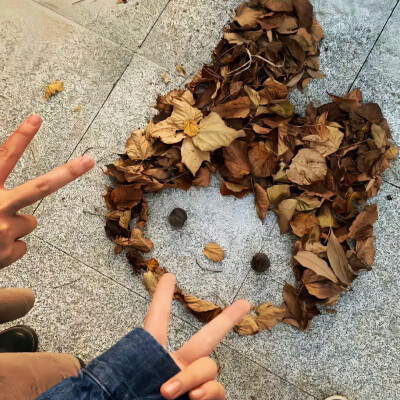 朋友圈背景图
