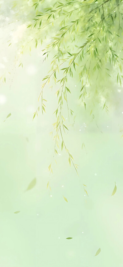 手机壁纸