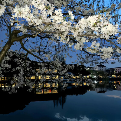朋友圈背景图