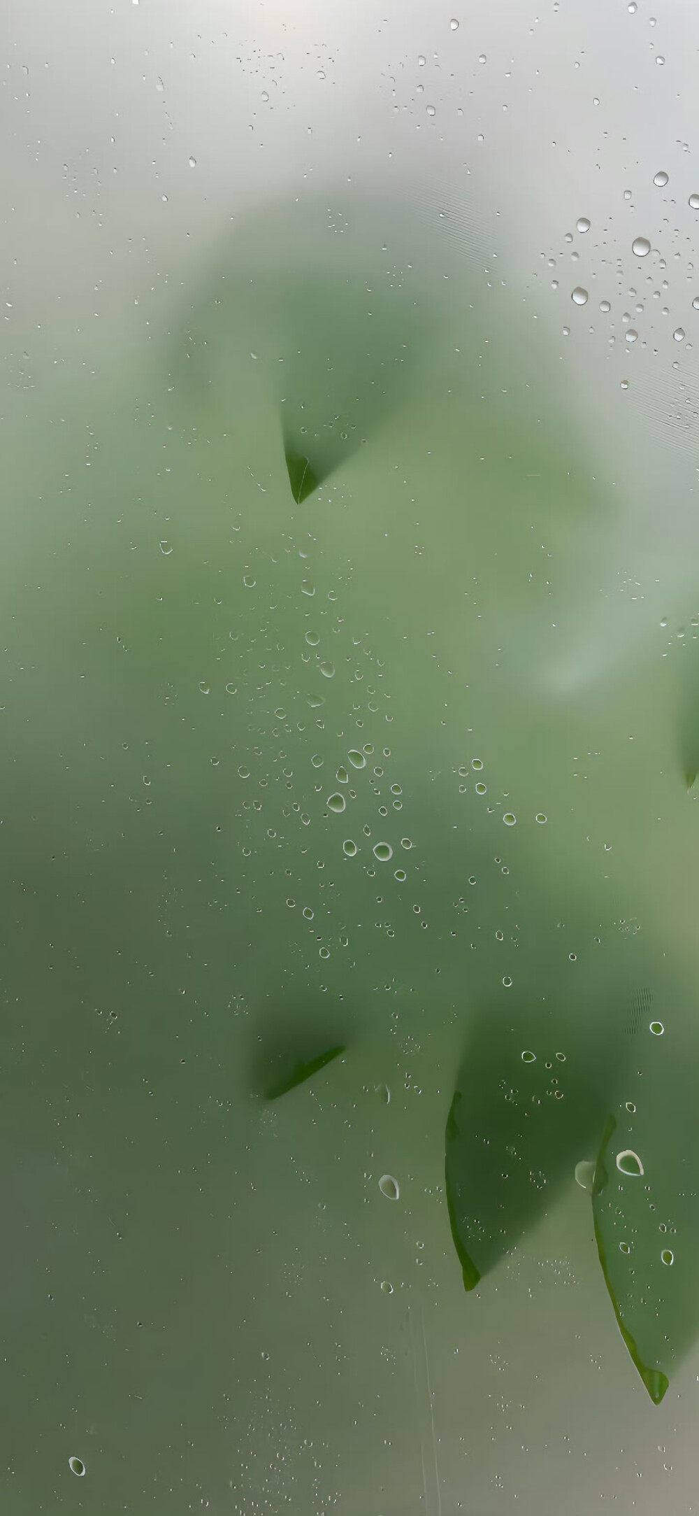 绿色系｜手机壁纸｜搬运网络 侵删