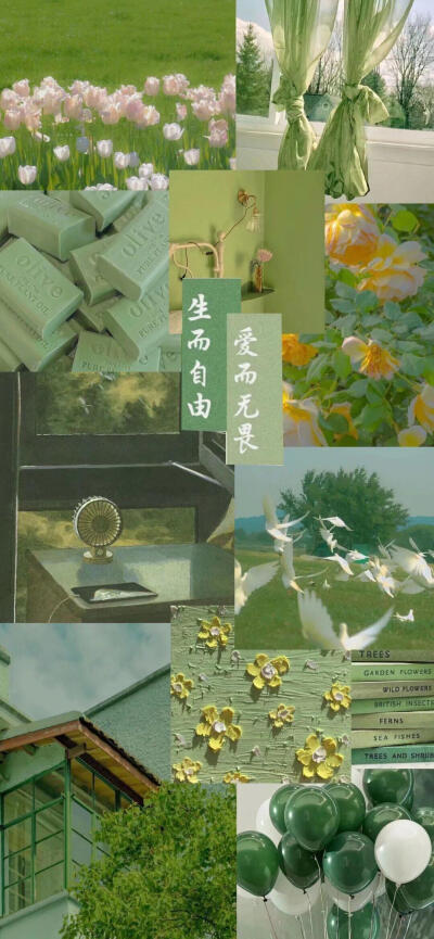 手机壁纸