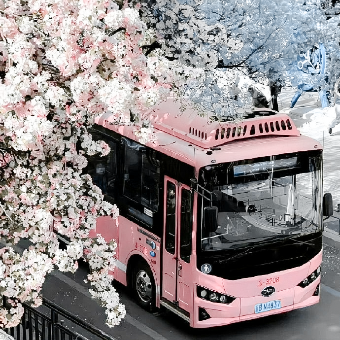 
Swoor Snee kummt,“敬頌冬綏”