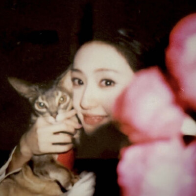 dt林宇婧